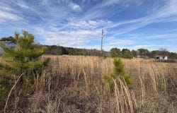 COUNTY ROAD 42 lot: 26.52+/- Acres, STEELE, AL 35987