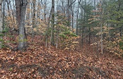 TATUM SCHOOL Road, MADISON, VA 22727