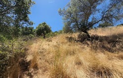 Coleman Drive, San Rafael, CA 94901
