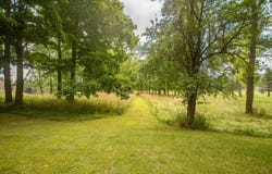 Sharon Hollow Road, Manchester, MI 48158