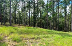 State Highway 225, Bay Minette, AL 36507