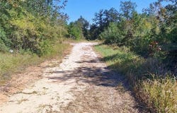 Sam Lewis Road, Citronelle, AL 36522