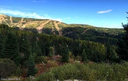 Avalanche Rd lot: 11A, Sandpoint, ID 83864