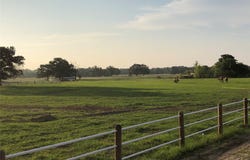 4250 Hwy 154, Yantis, TX 75497