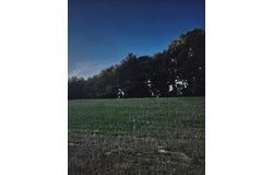 W Boll Weevil Circle, Enterprise, AL 36330
