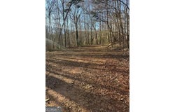 Collier Street SW, Covington, GA 30014