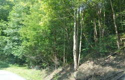 Skygusty Hwy, SQUIRE, WV 24619