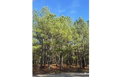 32 Dawnview Way Trail, Broken Bow, OK 74728