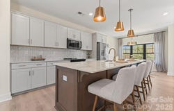 516 Mystic Park Alley, Huntersville, NC 28078
