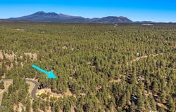 2082 WILLIAM PALMER, Flagstaff, AZ 86005