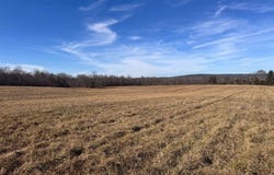 Coonhunters Rd, Golconda, IL 62938