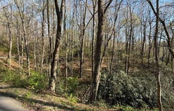 Thunderhead, Sky Valley, GA 30537
