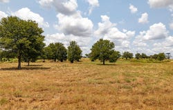N Magnolia Ave, Luling, TX 78648