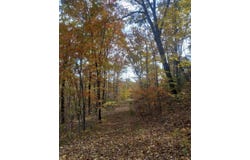 1737B High Rock Road, Stanton, KY 40380