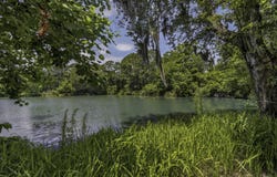 58 Beaver Pond Loop, Pawleys Island, SC 29585