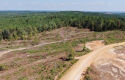 350 Baumann Road, Hickory Flat, MS 38633