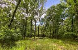 113 Eagle Pine Lane, Hochatown, OK 74728