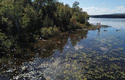 Dexter Road, Saint Albans, ME 04971