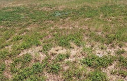 321 W LANGLEY BLVD, Universal City, TX 78148