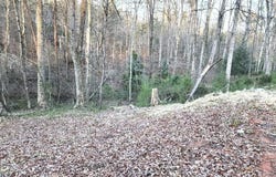 127 Casey Drive, Pickens, SC 29671