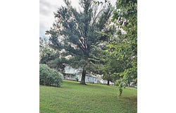 137 27000 Rd, Thayer, KS 66776