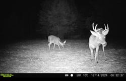 2 Forest Service Road 562, Pulaski, MS 39152