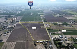 Gato, El Paso, TX 79932