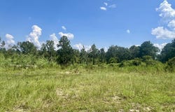 Co Rd 8, Vossburg, MS 39366