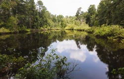 Atkinson Rd, Summit, MS 39666