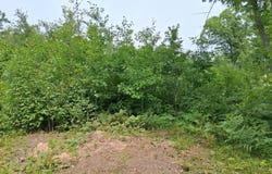 Parcel 13 County Road T, Danbury, WI 54830