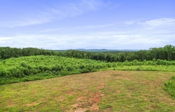 Poplar Springs Road, Walhalla, SC 29691