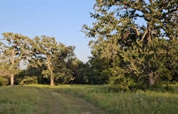 Ranch Land Easley Rd, Smithville, TX 78957