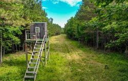 2953 State Route 723, Marion, KY 42064