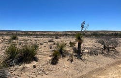 45 Esperanza Road, Alpine Terlingua, TX 79852