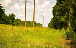 US-11, York, AL 36925
