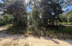 CORNER OF SW 152ND CT & 18TH PLACE, OCALA, FL 34481