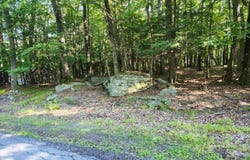 Squaw Valley Lane, Tafton, PA 18464