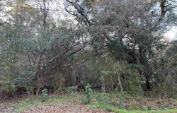 Warrior Dr, Lacombe, LA 70445