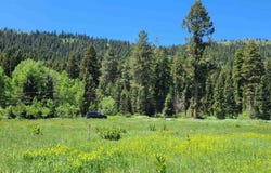 1608 Bear Trail Loop, Cascade, ID 83611