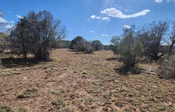 Parcel B N Cienega, Williams, AZ 86046