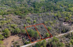 7262 SONIA Avenue, WEBSTER, FL 33597