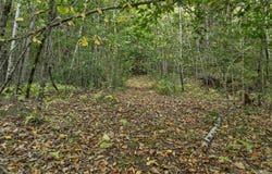 Vail Road lot: 76, Barnstead, NH 03225