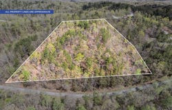 81 Crest Ct, Waverly, TN 37185