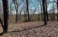 QUEENS POINT Road, MCCOOLE, MD 21562