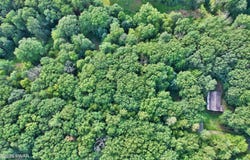 Violet Lane, Dingmans Ferry, PA 18328