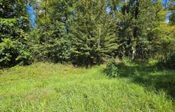 A & N RD, Chattahoochee, FL 32324