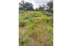 Inksview Ln lot: 48, Kingsland, TX 78639