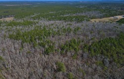 0 Weaver Road, McCalla, AL 35111