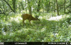 Route O, Green Castle, MO 63544