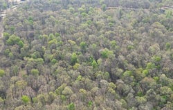 000-40 S Plainview Road, Anderson, MO 64831